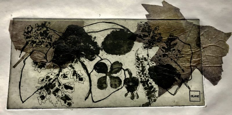 Herbier